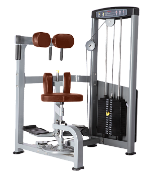 Торс-машина BRONZE GYM D-011 (КОРИЧНЕВЫЙ)